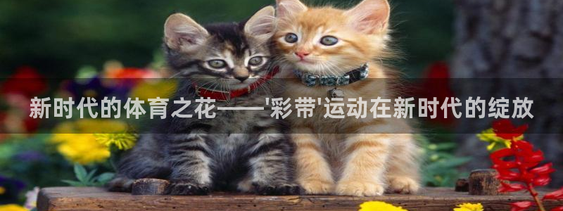 3377体育官方正版app娱乐首页网站大全：新时代的