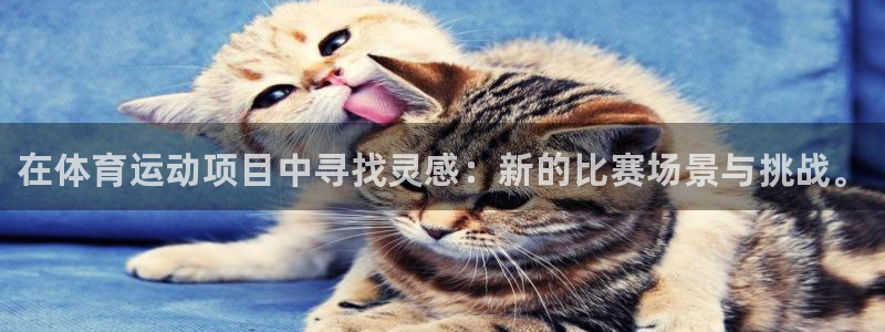 3377体育官方集团官网：在体育运动项目中寻找灵感：