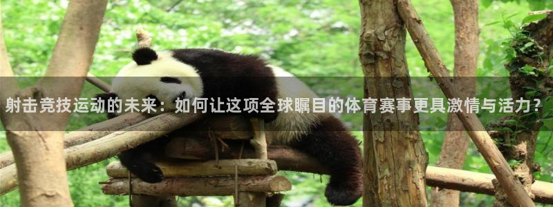 3377体育官网下载是干嘛的公司：射击竞技运动的未来