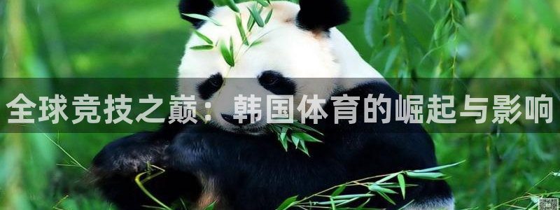 注册3377体育官方正版app：全球竞技之巅：韩国体