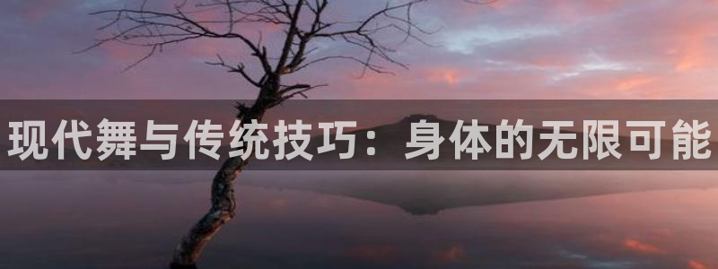 德国3377体育官方正版app集团：现代舞与传统技巧