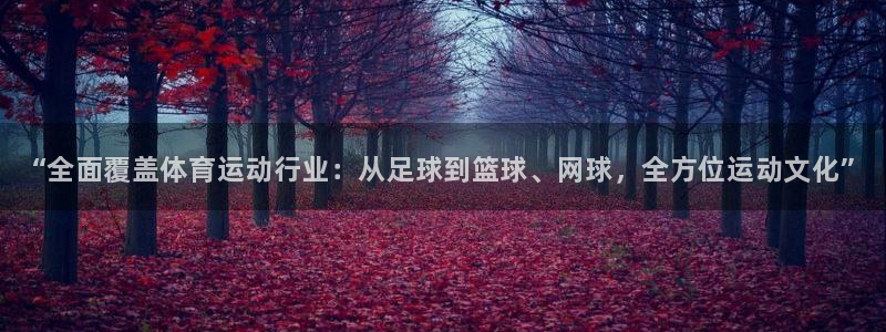 3377体育官网下载：“全面覆盖体育运动行业：从足球