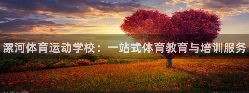 3377体育官网下载是干嘛的公司：漯河体育运动学校：