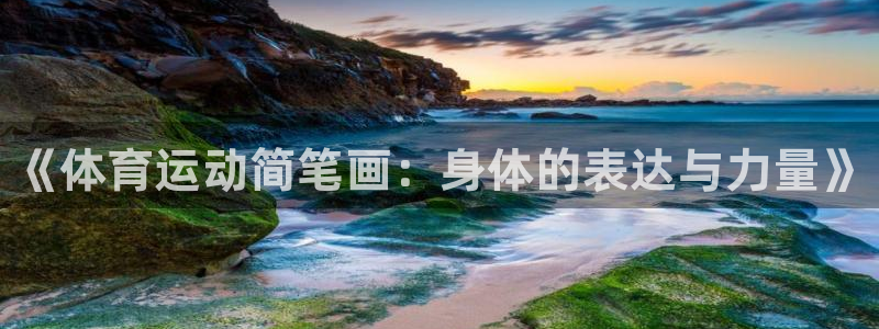 3377体育官网下载联系电话：《体育运动简笔画：身体
