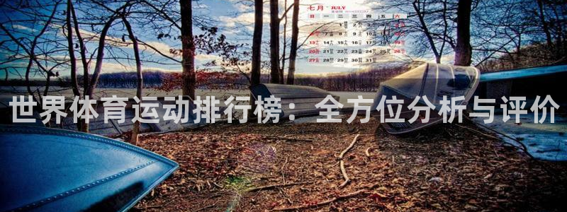 德国3377体育官方正版app集团：世界体育运动排行