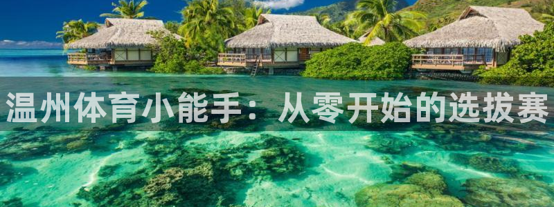 3377体育官方正版app集团E.ON：温州体育小能