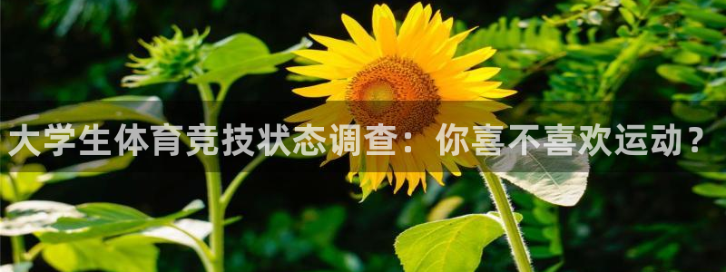 3377体育官方正版app官网：大学生体育竞技状态调查：你喜