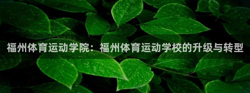 3377体育官网下载招商电话号码是多少：福州体育运动