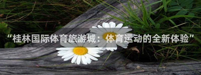3377体育官网下载招商电话是多少号码：“桂林国际体