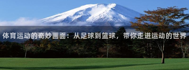 3377体育官网下载招商电话号码是多少号