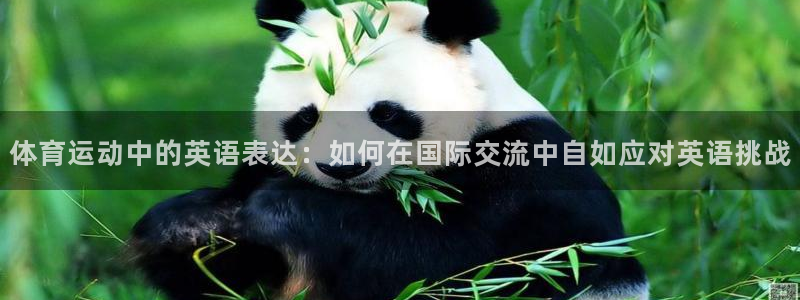 3377体育官网下载联系电话：体育运动中的英语表达：如何在国