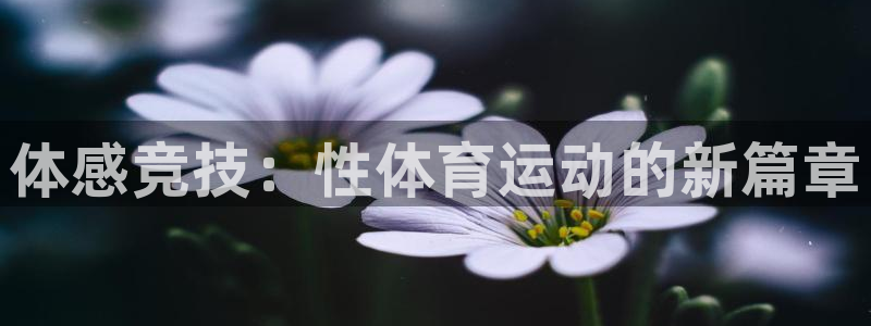 3377体育官方正版app集团简介：体感竞技：性体育运动的新