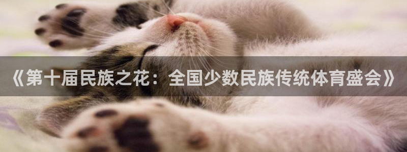 3377体育官方正版app官网