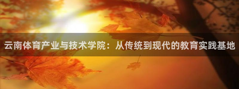 3377体育官网下载平台APP：云南体育产业与技术学院：从传
