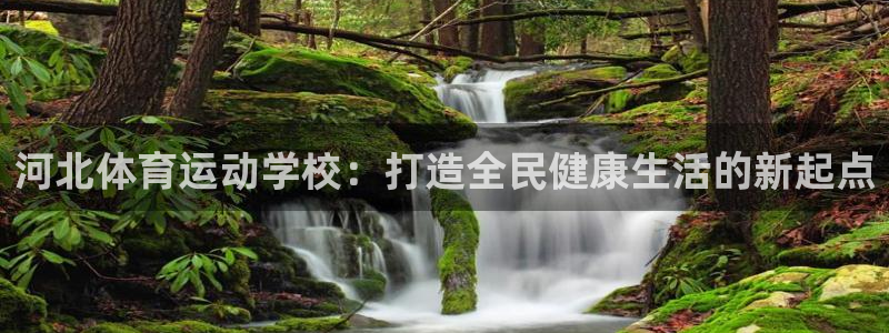 3377体育官网下载平台注册要钱吗安全吗：河北体育运