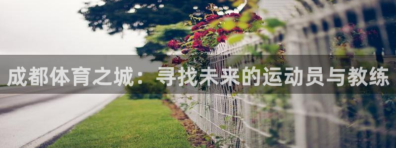 注册3377体育官方正版app：成都体育之城：寻找未