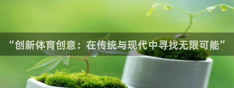 海南3377体育官网下载发展怎么样：“创新体育创意：在传统与