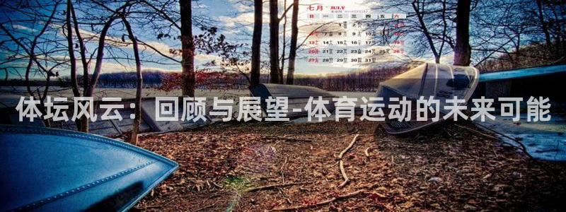 注册3377体育官方正版app：体坛风云：回顾与展望