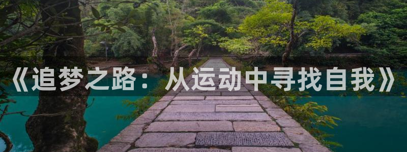 3377体育官方正版app娱乐是那个系列的台子：《追梦之路：