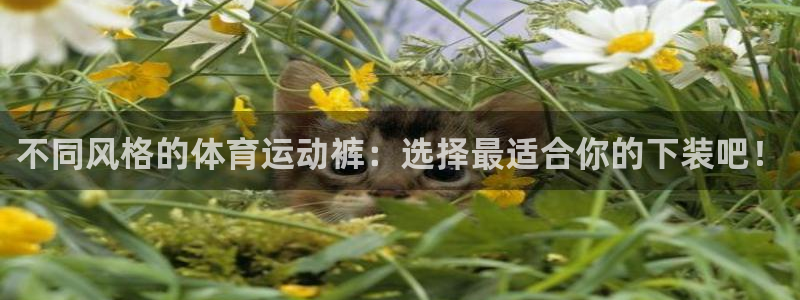 3377体育官网下载招商电话是多少啊：不同风格的体育