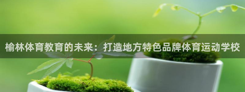 3377体育官网下载平台：榆林体育教育的未来：打造地方特色品