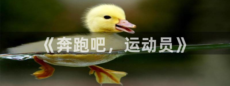 3377体育官方正版app娱乐代理怎么样：《奔跑吧，运动员》