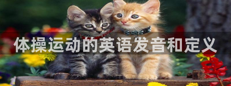 3377体育官网下载平台假的吗是真的吗：体操运动的英语发音和