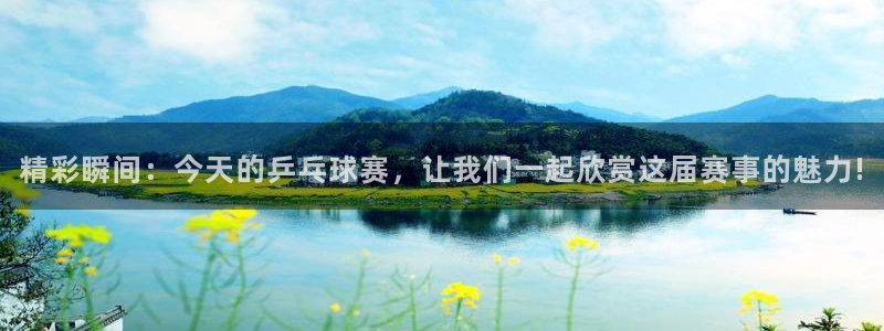 球神直播间：精彩瞬间：今天的乒乓球赛，让我们一起欣赏这届赛事的魅力!