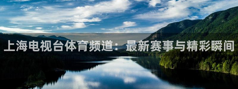 黑白直播免费高清看球神器：上海电视台体育频道：最新赛事与精彩瞬间