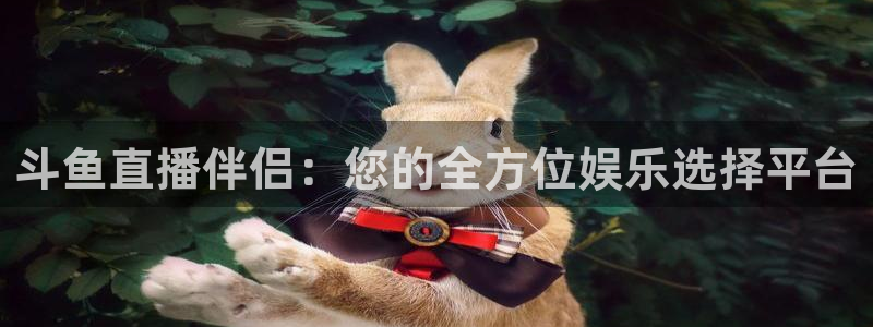 球神直播体育在线观看网站：斗鱼直播伴侣：您的全方位娱乐选择平台