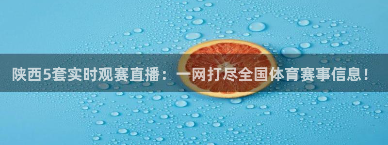 球神足球直播
