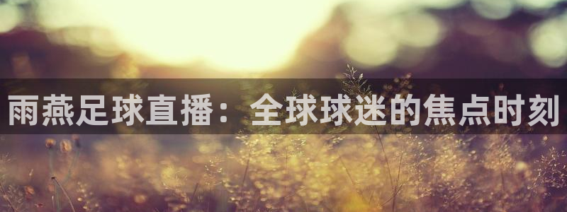 球神直播nba在线直播免费观看