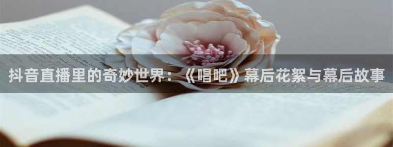 球神体育nba直播