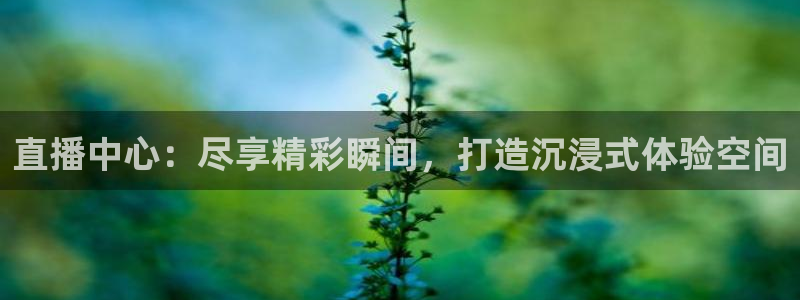 球神足球直播