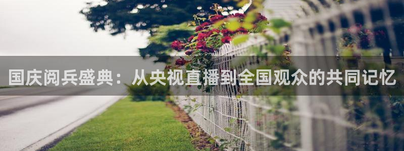 球神直播体育在线观看网址