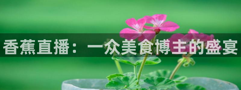 球神直播首页：香蕉直播：一众美食博主的盛宴